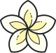 Logo Flor